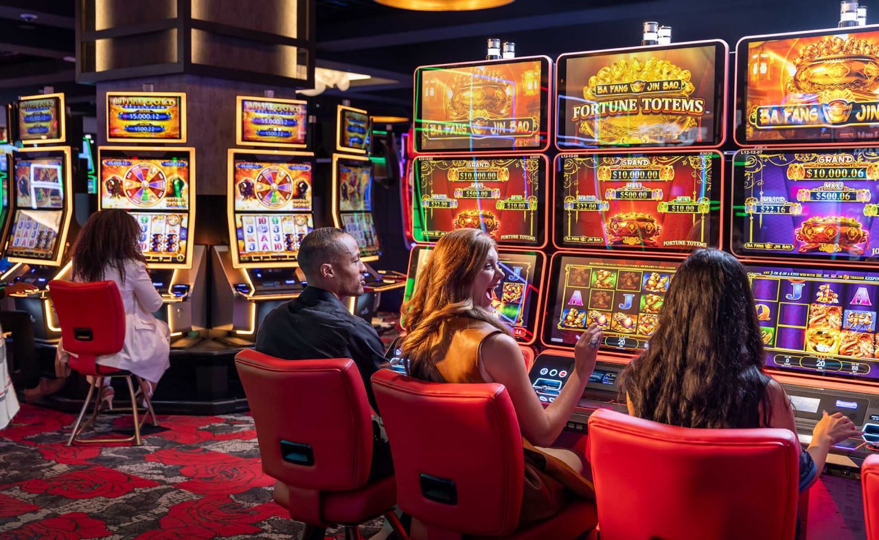 wynn23