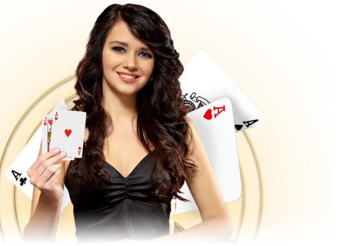 wynn23